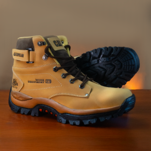 Colección Cat Road Premium